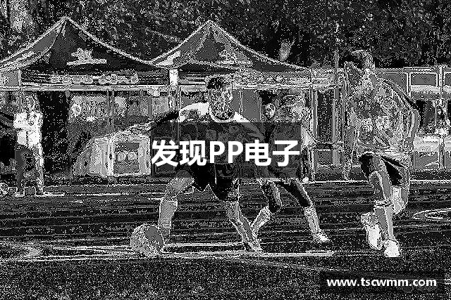 发现PP电子